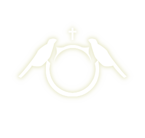 HALO_サクラコ.png HALO_サクラコ.png