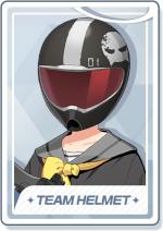 TEAM HELMET